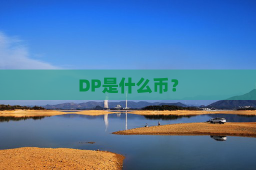 DP是什么币？