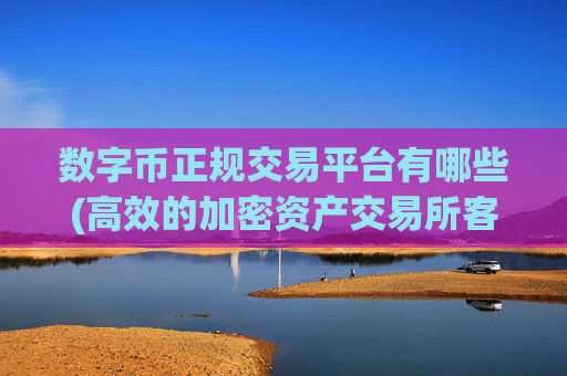 数字币正规交易平台有哪些(高效的加密资产交易所客户端)
