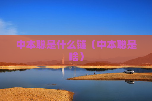 中本聪是什么链（中本聪是啥）