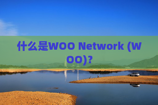 什么是WOO Network (WOO)？
