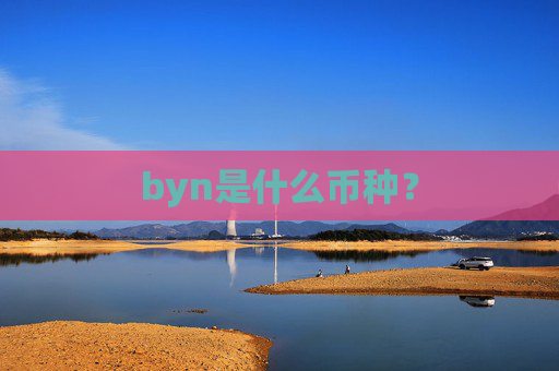 byn是什么币种？