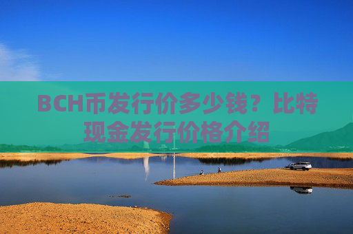 BCH币发行价多少钱？比特现金发行价格介绍