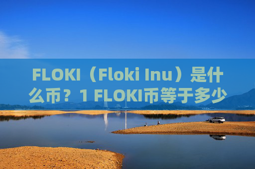FLOKI（Floki Inu）是什么币？1 FLOKI币等于多少人民币？