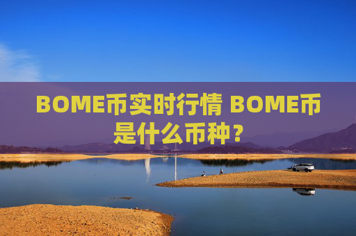 BOME币实时行情 BOME币是什么币种？