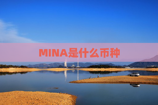 MINA是什么币种