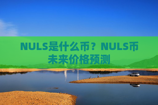 NULS是什么币?NULS币未来价格预测