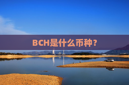 BCH是什么币种?