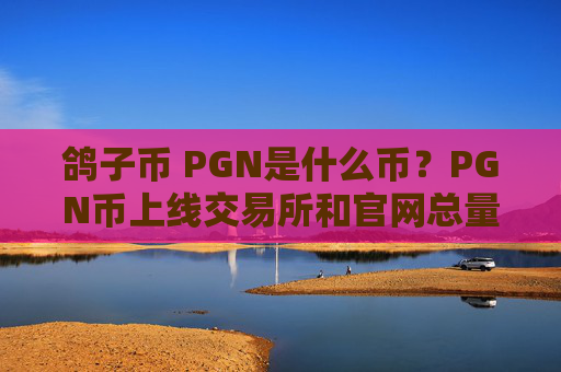 鸽子币 PGN是什么币?PGN币上线交易所和官网总量介绍