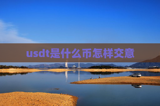 usdt是什么币怎样交意