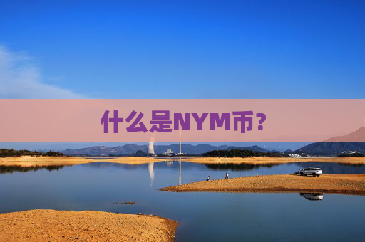 什么是NYM币?