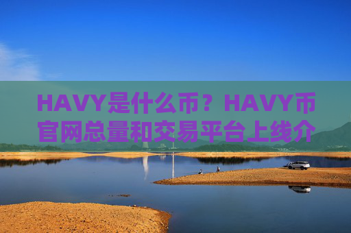 HAVY是什么币？HAVY币官网总量和交易平台上线介绍