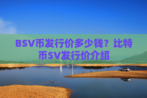 BSV币发行价多少钱？比特币SV发行价介绍
