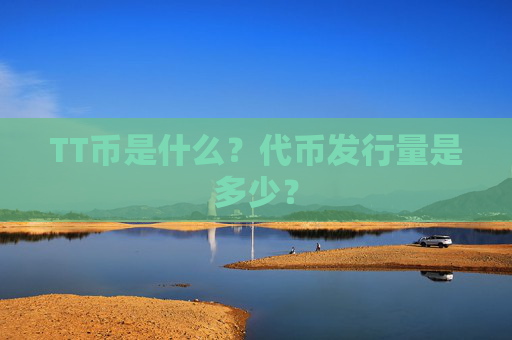 TT币是什么?代币发行量是多少?
