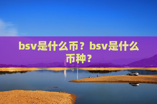 bsv是什么币？bsv是什么币种？