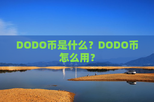DODO币是什么?DODO币怎么用?