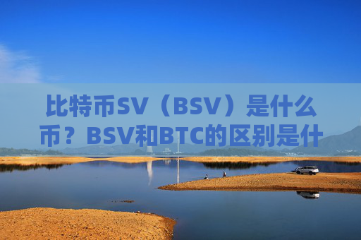 比特币SV（BSV）是什么币？BSV和BTC的区别是什么
