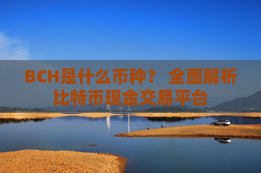 BCH是什么币种? 全面解析比特币现金交易平台