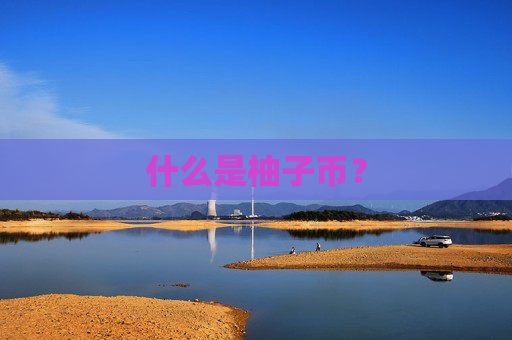 什么是柚子币?