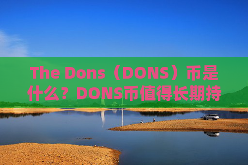The Dons(DONS)币是什么?DONS币值得长期持有吗?