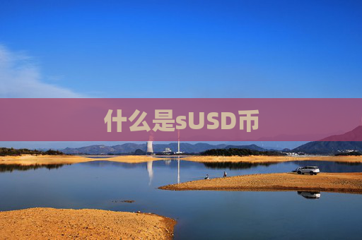什么是sUSD币