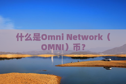 什么是Omni Network(OMNI)币?