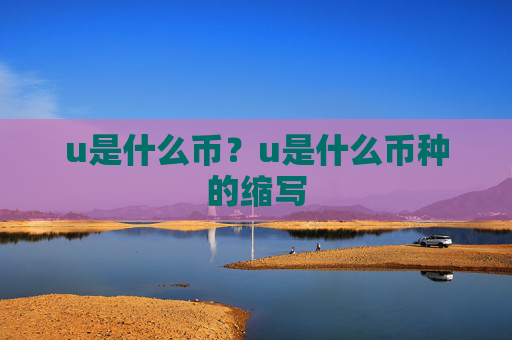 u是什么币？u是什么币种的缩写