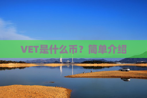 VET是什么币？简单介绍