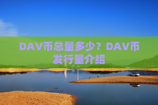 DAV币总量多少?DAV币发行量介绍