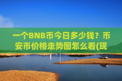 一个BNB币今日多少钱?币安币价格走势图怎么看(现价4891.55元)
