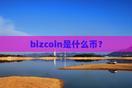 bizcoin是什么币？