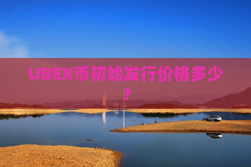UBEX币初始发行价格多少?
