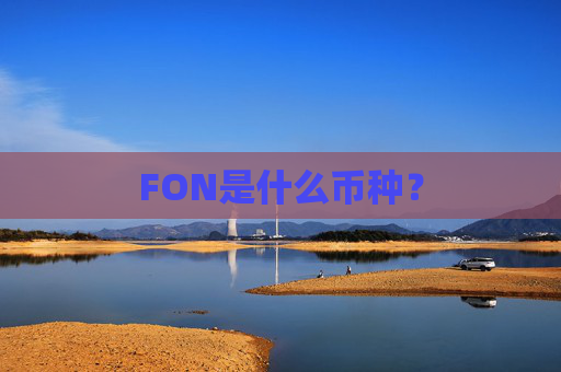 FON是什么币种？