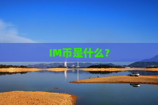 IM币是什么?