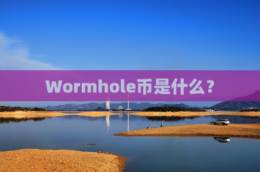Wormhole币是什么?