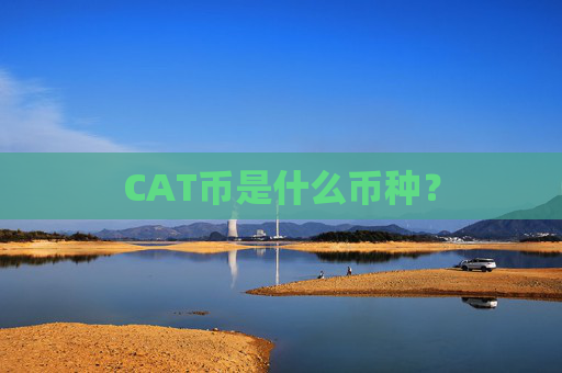 CAT币是什么币种？