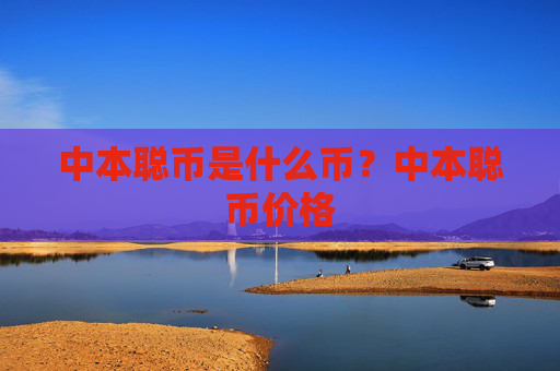 中本聪币是什么币？中本聪币价格