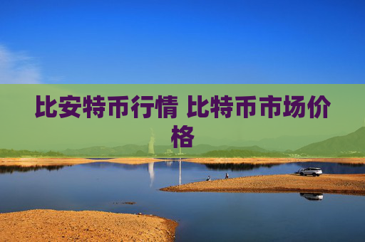 比安特币行情 比特币市场价格