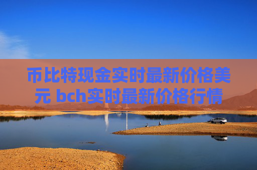 币比特现金实时最新价格美元 bch实时最新价格行情