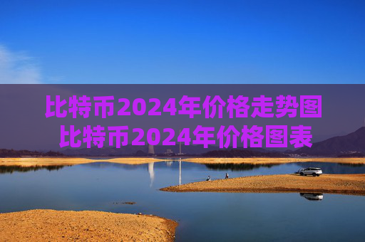 比特币2024年价格走势图 比特币2024年价格图表