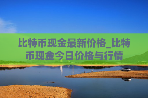 比特币现金最新价格_比特币现金今日价格与行情
