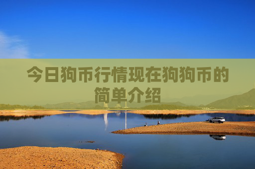 今日狗币行情现在狗狗币的简单介绍