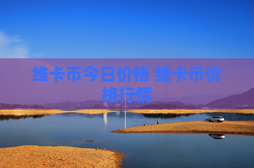维卡币今日价格 维卡币价格行情