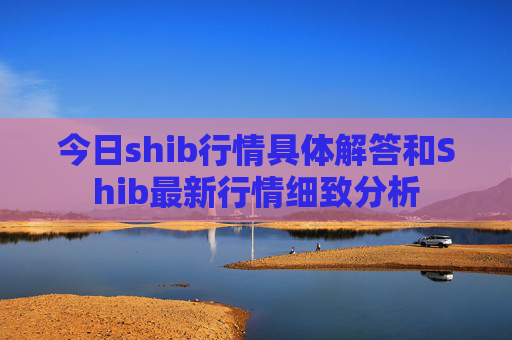 今日shib行情具体解答和Shib最新行情细致分析