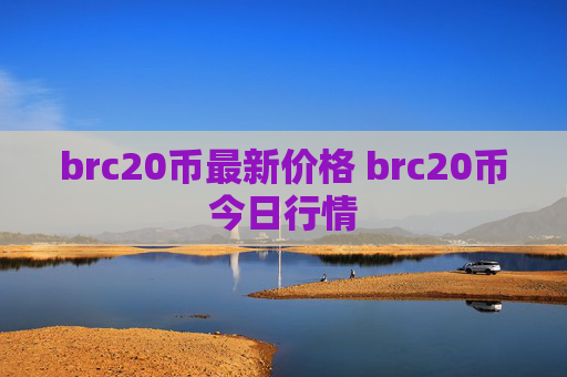 brc20币最新价格 brc20币今日行情