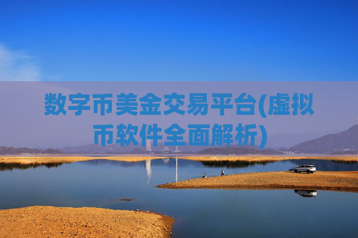 数字币美金交易平台(虚拟币软件全面解析)