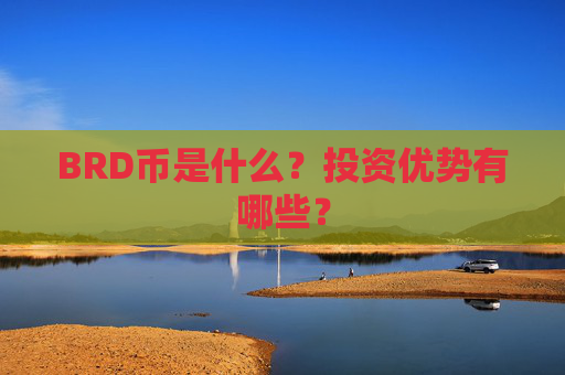 BRD币是什么？投资优势有哪些？