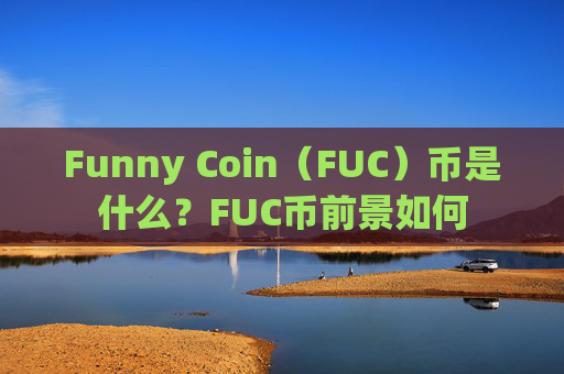 Funny Coin(FUC)币是什么?FUC币前景如何
