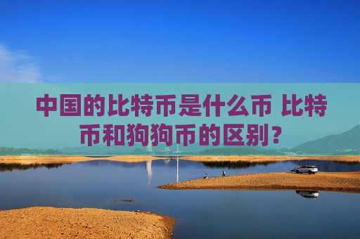 中国的比特币是什么币 比特币和狗狗币的区别?