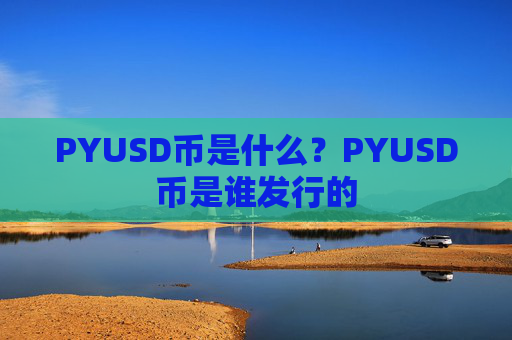 PYUSD币是什么?PYUSD币是谁发行的