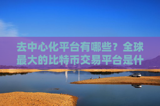 去中心化平台有哪些？全球最大的比特币交易平台是什么？